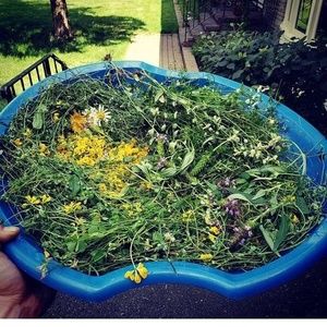 Meet your Posher, Keith